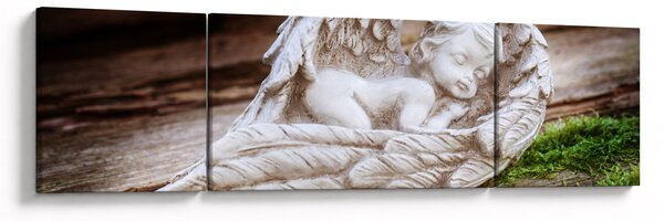 Obraz - Spící andílek (170x50 cm)