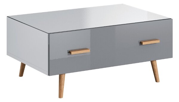 Konferenční stolek 50 MEX 10133, Dekor bílý mat/šedý lesk