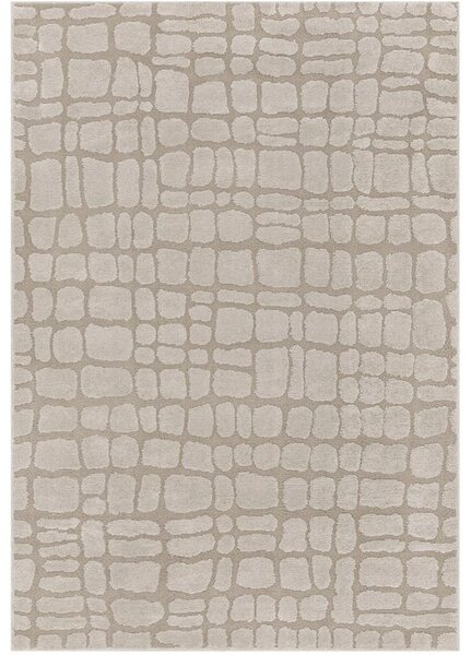Breno Kusový koberec LOTUS 301 beige, 120x170 cm, Béžová