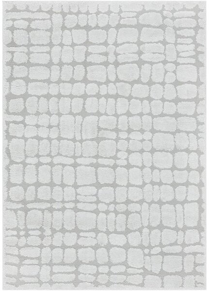 Breno Kusový koberec LOTUS 301 silver, 80x150 cm, Stříbrná/Šedá