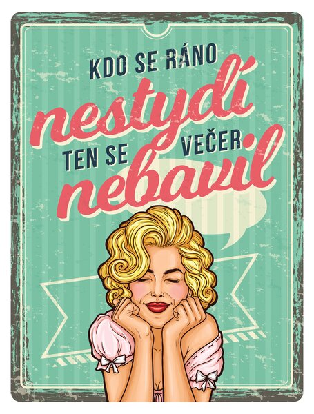 Plechová cedule: Kdo se ráno nestydí, ten se večer nebavil - 30x40 cm