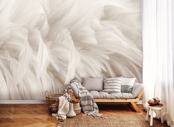 Fototapeta vliesová: Pastel Feathers - 312x219cm