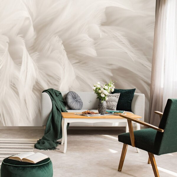 Fototapeta vliesová: Pastel Feathers - 312x219cm