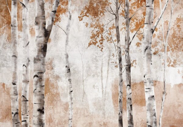 Fototapety vliesové: Birch Forest Trees - 368x254 cm