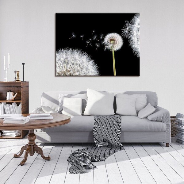 Obraz na plátně: Pampeliška (1) - 75x100 cm