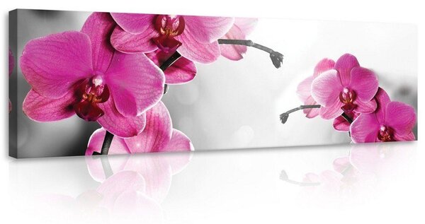 Obraz na plátně: Orchidej (4) - 145x45 cm
