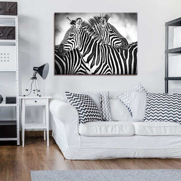 Obraz na plátně: Zebry (3) - 75x100 cm