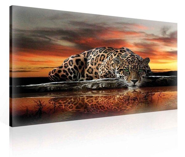 Obraz na plátně: Jaguár - 75x100 cm