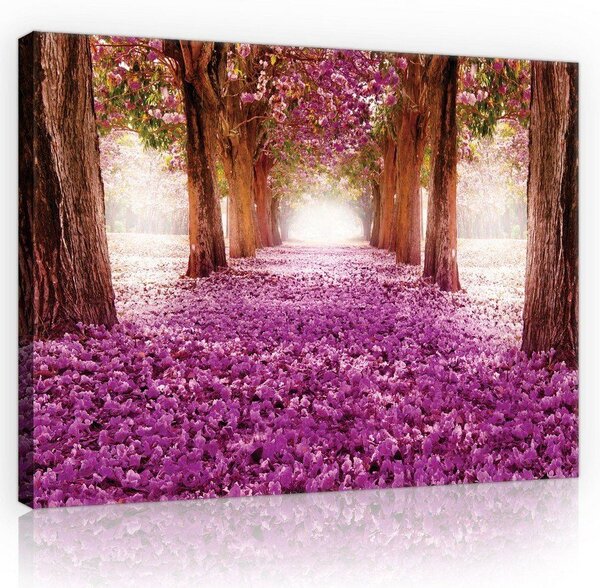 Obraz na plátně: Rozkvetlá alej (1) - 75x100 cm