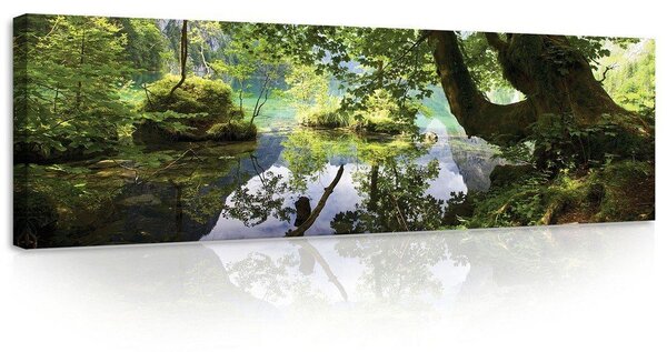 Obraz na plátně: Lesní tůně - 145x45 cm