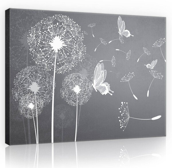 Obraz na plátně: Pampelišky a motýli - 80x60 cm