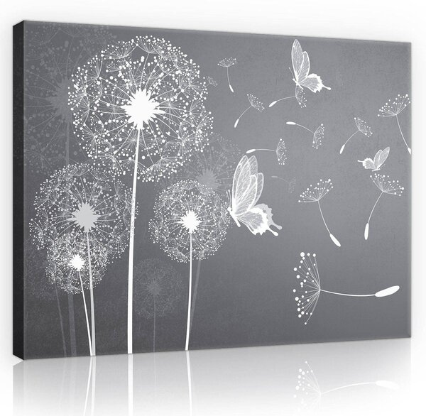 Obraz na plátně: Pampelišky a motýli - 80x60 cm