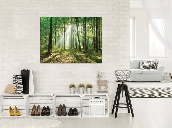 Obraz na plátně: Slunce v lese (3) - 80x60 cm