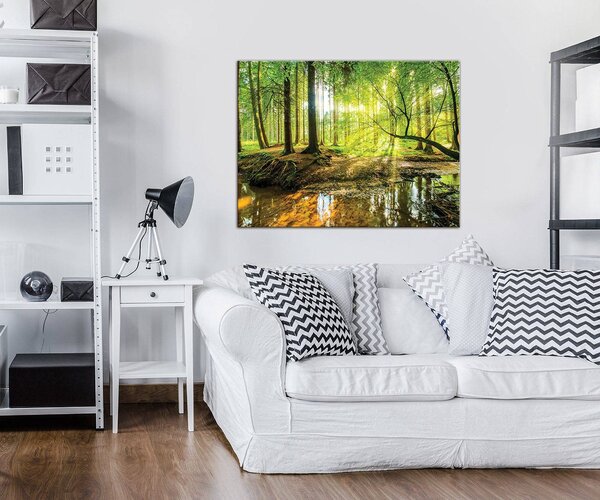 Obraz na plátně: Lužní les - 80x60 cm