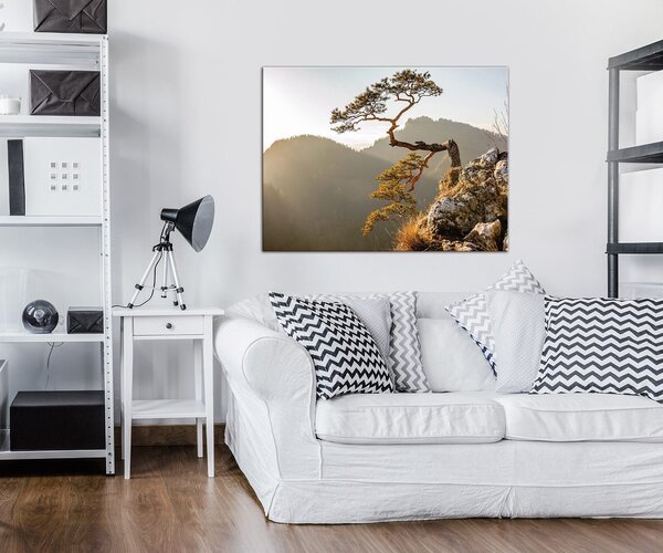 Obraz na plátně: Vrcholek - 80x60 cm
