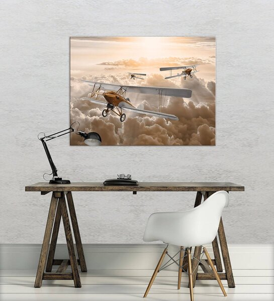 Obraz na plátně: Dvojplošníky - 80x60 cm