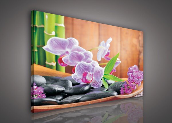 Obraz na plátně: Orchidej (1) - 80x60 cm