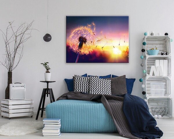 Obraz na plátně: Barevná pampeliška - 75x100 cm