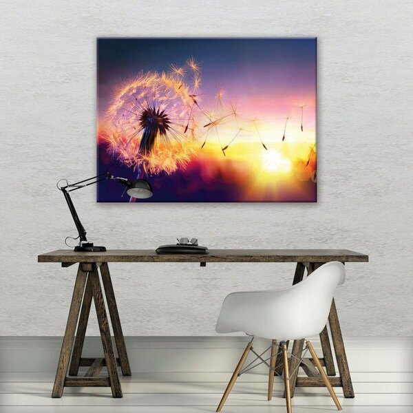 Obraz na plátně: Barevná pampeliška - 75x100 cm