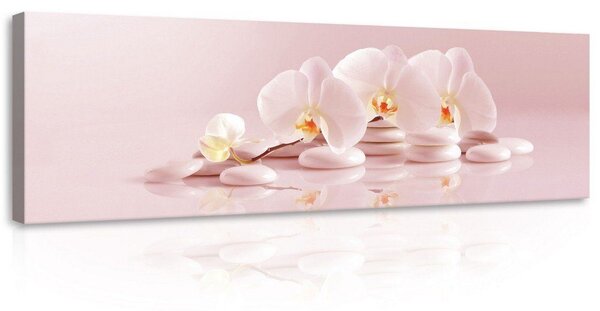 Obraz na plátně: Růžové orchideje - 145x45 cm