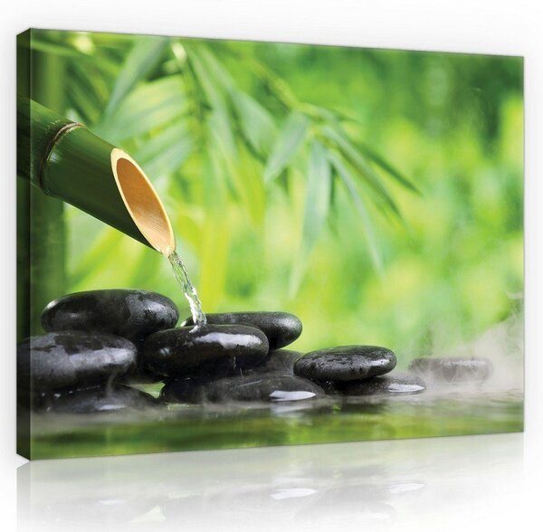 Obraz na plátně: Zen (3) - 75x100 cm