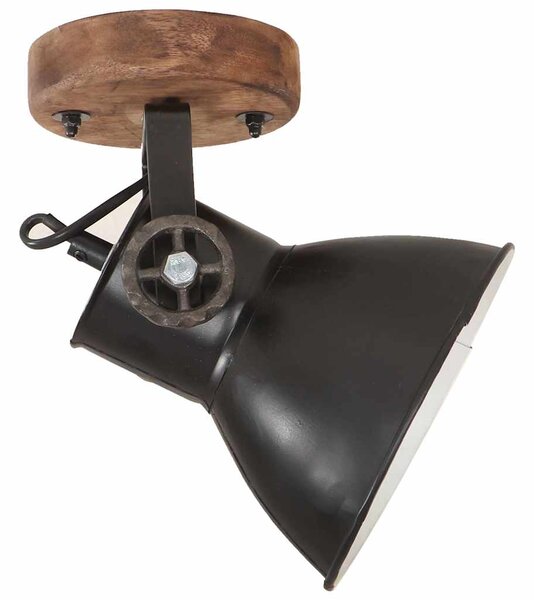 Industriální nástěnné/stropní lampy 2 ks černé 20 x 25 cm E27 320514