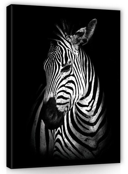 Obraz na plátně: Zebra (2) - 100x75 cm