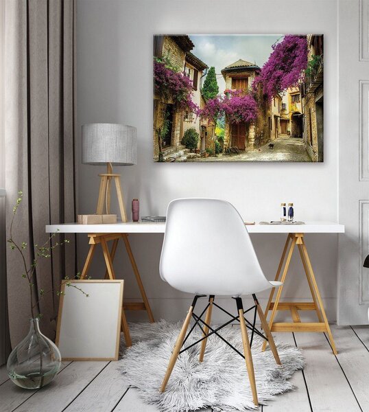 Obraz na plátně: Květinová ulička (4) - 75x100 cm