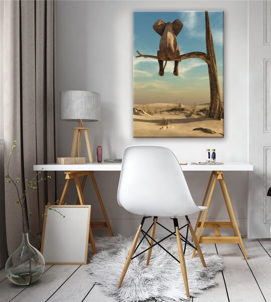 Obraz na plátně: Slon na stromě - 50x70 cm