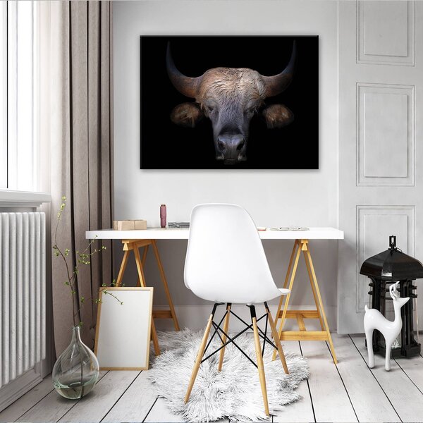 Obraz na plátně: Býk (1) - 80x60 cm