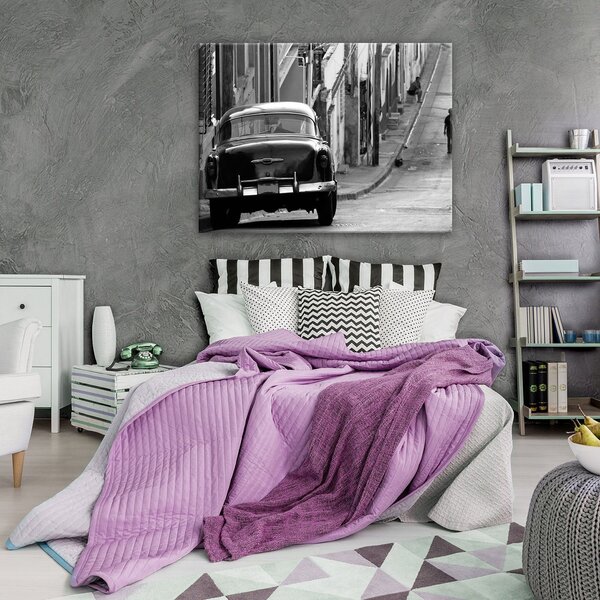 Obraz na plátně: Černý veterán - 80x60 cm