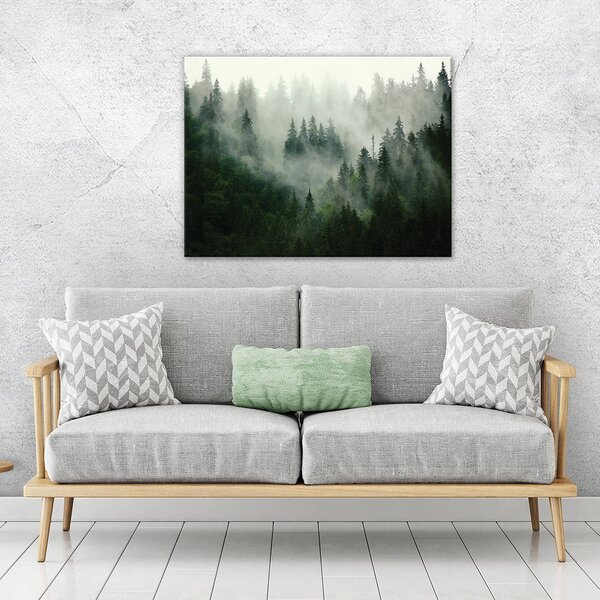 Obraz na plátně: Mlha nad lesem (1) - 100x75 cm