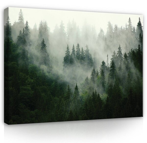 Obraz na plátně: Mlha nad lesem (1) - 100x75 cm