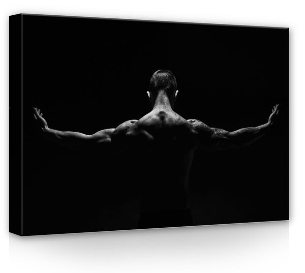 Obraz na plátně: Tanečník - 70x50 cm