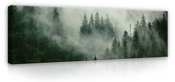 Obraz na plátně: Mlha nad lesem (1) - 145x45 cm