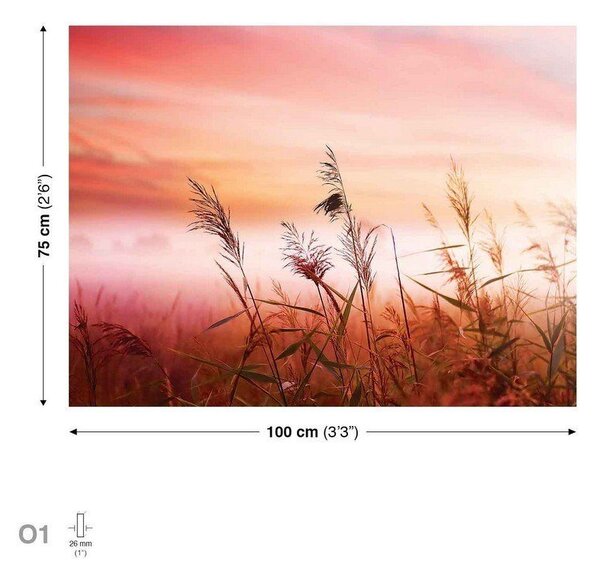Obraz na plátně: Louka (západ slunce) - 75x100 cm