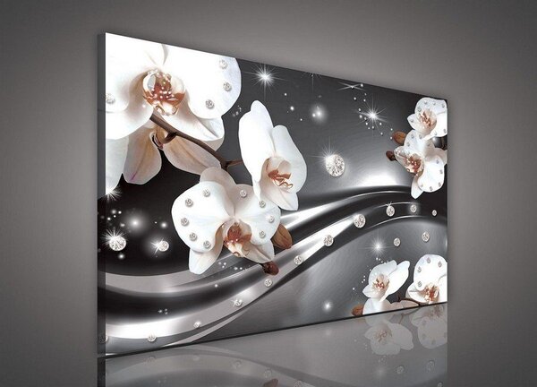 Obraz na plátně: Orchideje a abstrakce - 75x100 cm