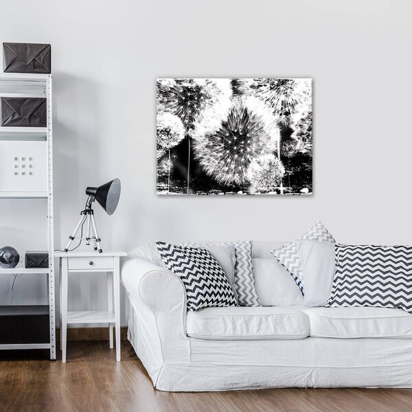 Obraz na plátně: Pampelišky (černobílé) - 80x60 cm