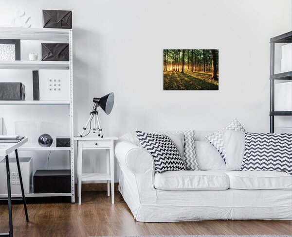Obraz na plátně: Západ slunce v lese - 80x60 cm