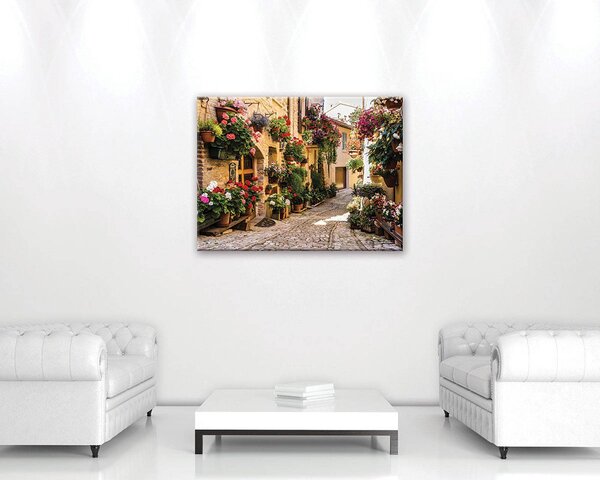 Obraz na plátně: Květinová ulička - 80x60 cm