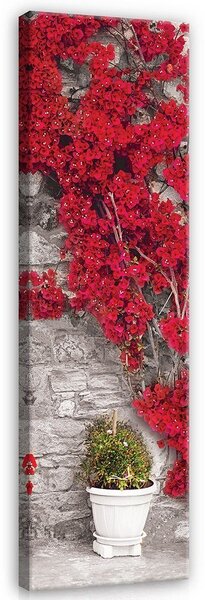 Obraz na plátně: Červená květinová zeď - 145x45 cm