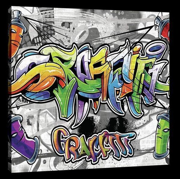 Obraz na plátně: Graffiti (12) - 75x100 cm