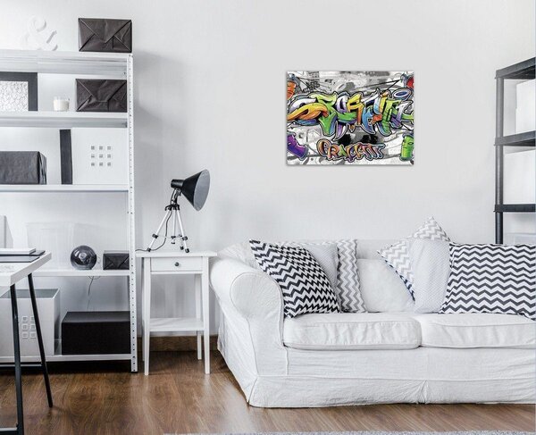 Obraz na plátně: Graffiti (12) - 75x100 cm