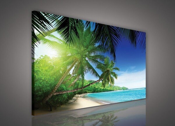 Obraz na plátně: Ráj na pláži - 75x100 cm