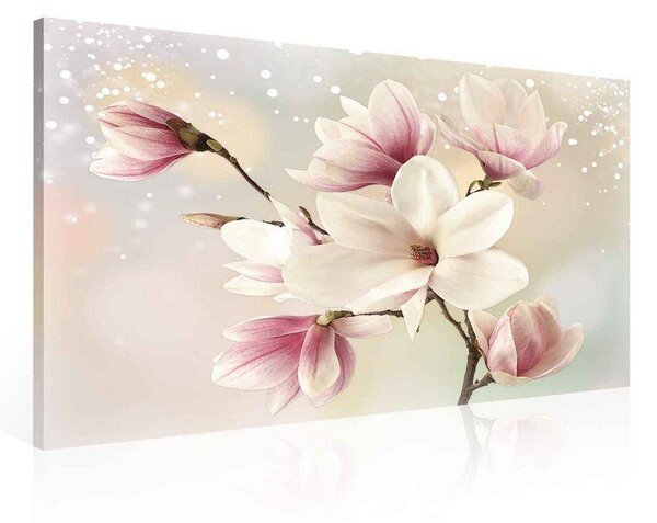 Obraz na plátně: Magnolie (6) - 75x100 cm