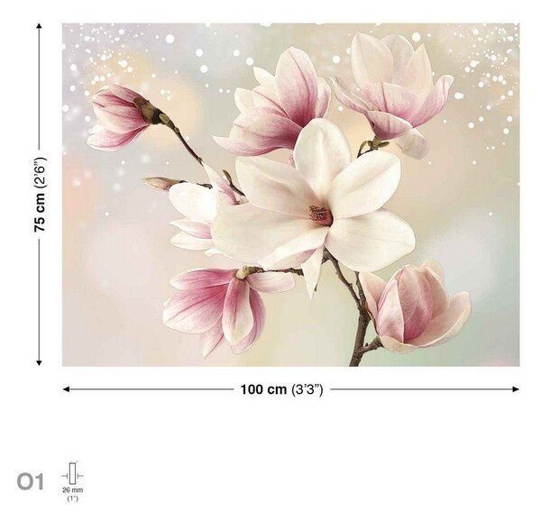 Obraz na plátně: Magnolie (6) - 75x100 cm