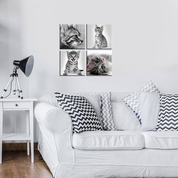 Obraz na plátně: Koťata (1) - set 4ks 25x25cm