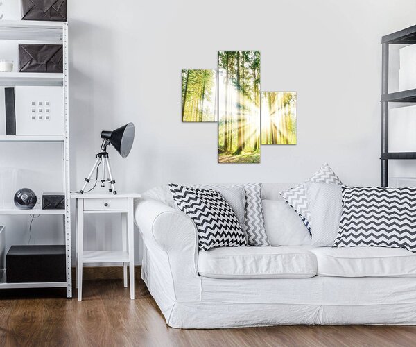 Obraz na plátně: Slunce v lese (2) - set 1ks 80x30 cm a 2ks 37,5x24,8 cm