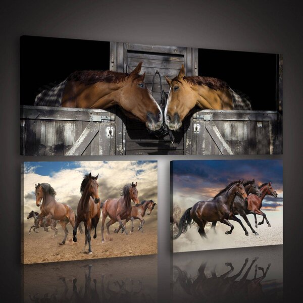 Obraz na plátně: Koně (1) - set 1ks 80x30 cm a 2ks 37,5x24,8 cm