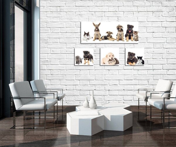 Obraz na plátně: Psi (1) - set 1ks 80x30 cm a 3ks 25,8x24,8 cm